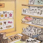 Elsewhen: The Story of the Living Library