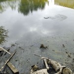 “Scooter, Newtown Creek” on Underwater New York